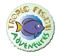 Tropic Fisch - Startseite